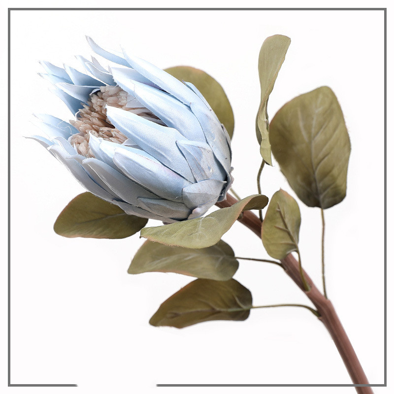 Bleu 10