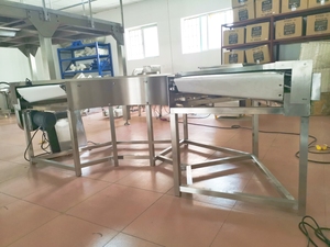 新型食品级转向带式输送机核心电机发动机部件，带齿轮箱，用于高效产品输送 - Product Image 4