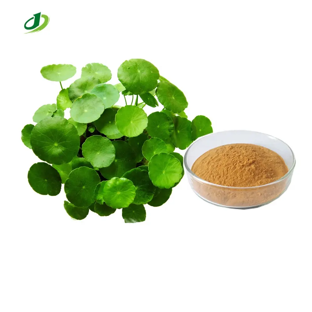 Centella Asiatica Extract Lysimachia Christina Hance Extract Herba Lysimachiae Extract 10:1 Asiaticosid