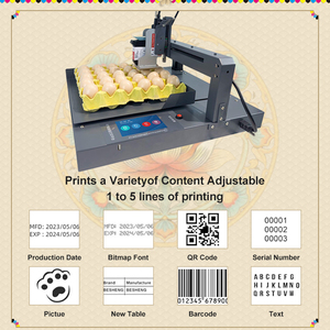 Wiseprint Tij Expiry Date Printing <strong>Machine</strong> Egg Number Batch Coding Laser Marking <strong>Machine</strong> <strong>Hs</strong> <strong>Code</strong> CM-WPEGG01 Egg Coding <strong>Machine</strong> - Product Image 4