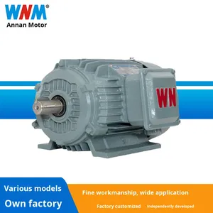 Wannan Elektrische Ye4-serie Ultra-Hoog Rendement Driefasige Asynchrone <span class=keywords><strong>Motor</strong></span> | Ie4 Efficiëntie | 380V | 3000r/Min - Product Image 3