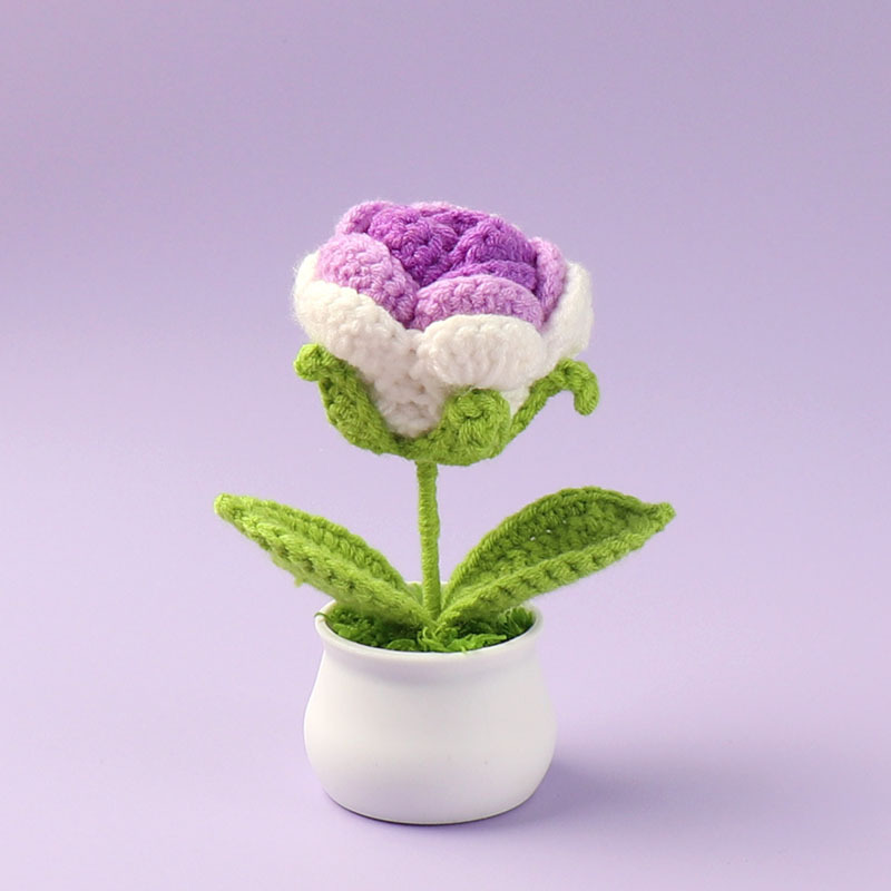 gradient Purple Rose (large size) small pot plant