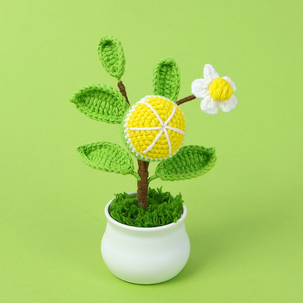 plante en pot orange