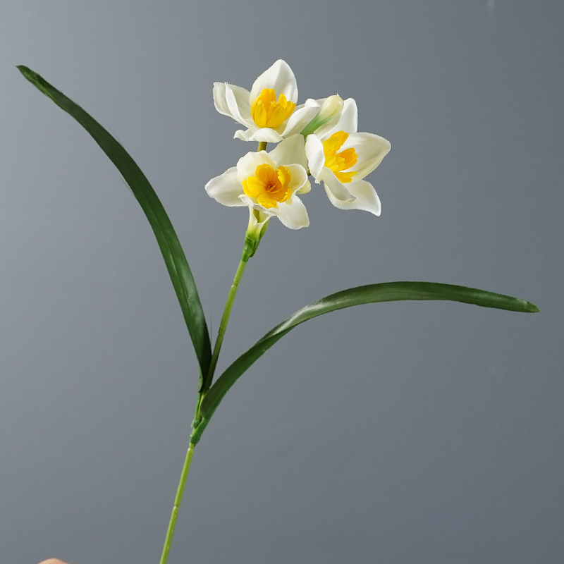 Giallo-chiaro