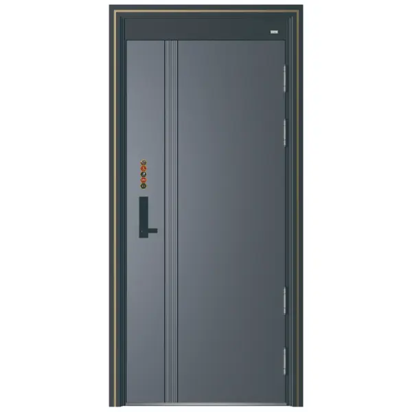 Fornitore di porte per porte in metallo nero porta personalizzata 50/70/100 MM moderna porta in acciaio