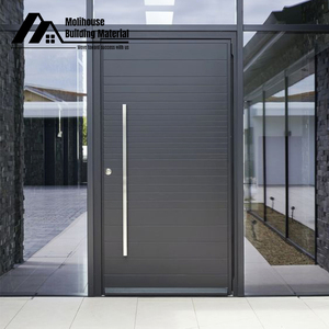 Görkemli entryway tabloları dijital akıllı giriş sistemi kasırga dayanıklı güvenlik pivot kapı - Product Image 5