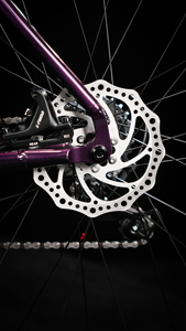 Java RAPIDA Factory 700C Aluminium legierung Gabel legierung Rennrad 14-Gang Mit Scheiben bremse Rennrad rahmen - Product Image 6