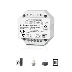 Skydance SS-B (WZ) ZigBee 3,0 & RF умный переключатель переменного тока Tuya приложение Облачное управление голосовым управлением настенный фазовый выключатель Zigbee - Product Image 1