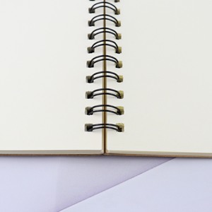 All'ingrosso quaderno a spirale ispessito A5 ad alto valore di colore stampato quaderno 60 semplice B5 Notepad per la scuola primaria - Product Image 4