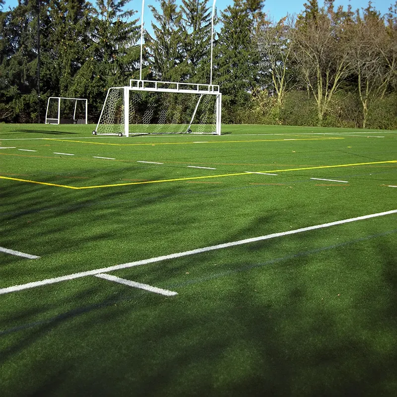 Gacci kustom Mini mengajukan sepak bola lapangan untuk sepak bola olahraga rumput buatan