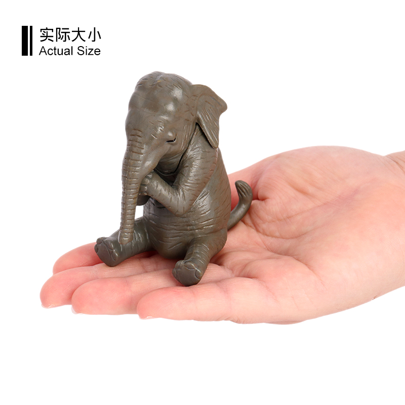 1701 Elefante che predica