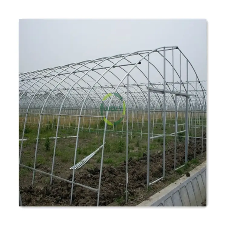 Équipement agricole à faible coût, Tunnel, Film plastique, tomate, serre à portée unique pour plantes à fleurs