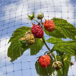 Di alta qualità impianto PE Anti-uccello di rete per il controllo dei parassiti per proteggere ortaggi e piante di fiori all'aperto - Product Image 4