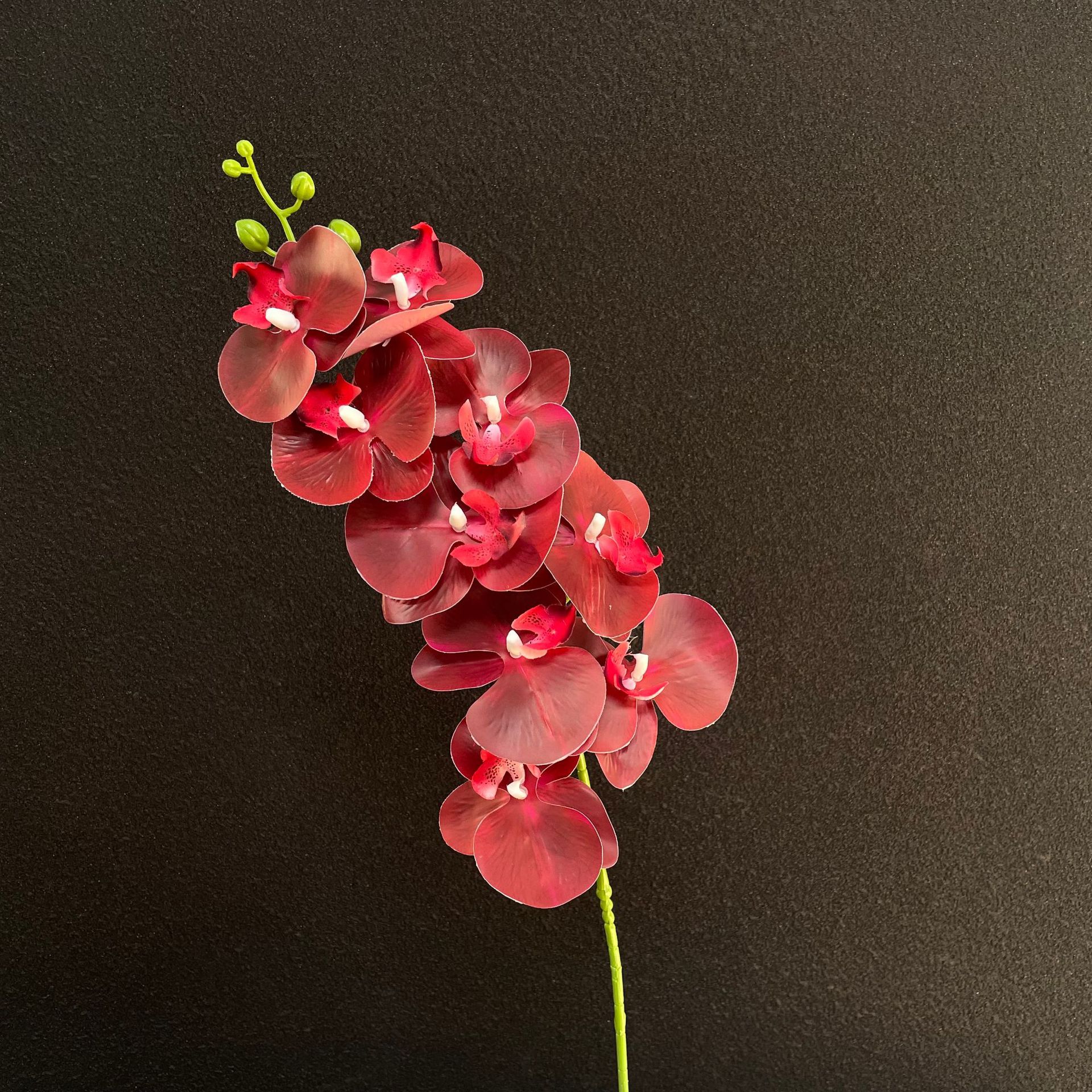 rouge 1