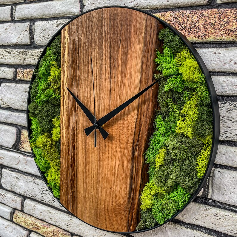 Orologio in legno d'ulivo con muschio