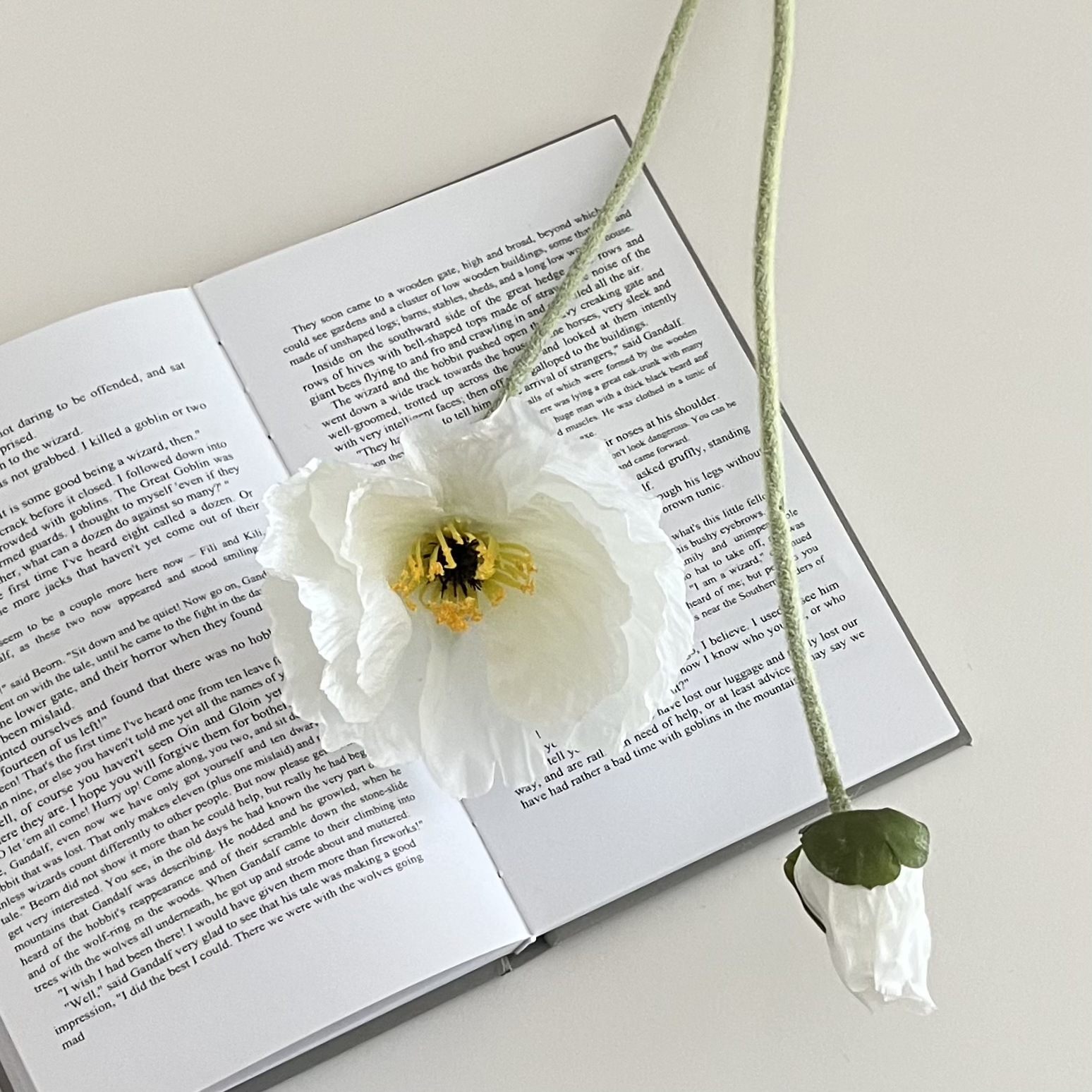 1 # blanco