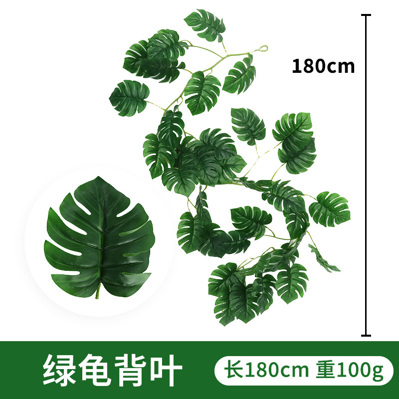 Feuille de tortue verte rotin nordique