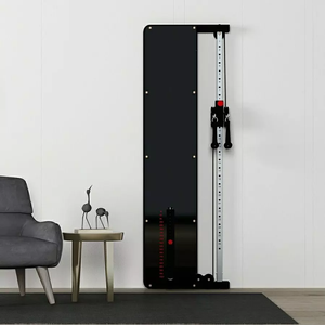 Home Gym Wall Functional Half <strong>Squat</strong> Rack Custom Acrylic <strong>Front</strong> Panel Space Saving Wall Mounted Cable Pulley Machine Single Stack - Product Image 5
