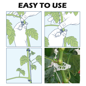 Rechtop Groeien Maakt Planten Gezonder Druivenplant Ondersteuning Clips Tuinclips Tomatengroenten Trellis Clips - Product Image 5