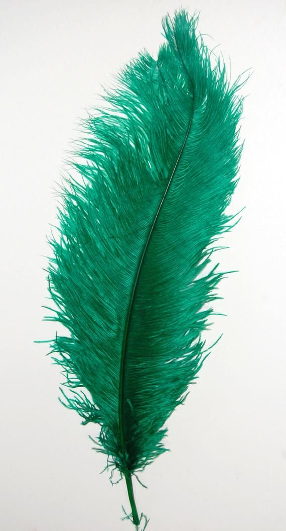 Vert