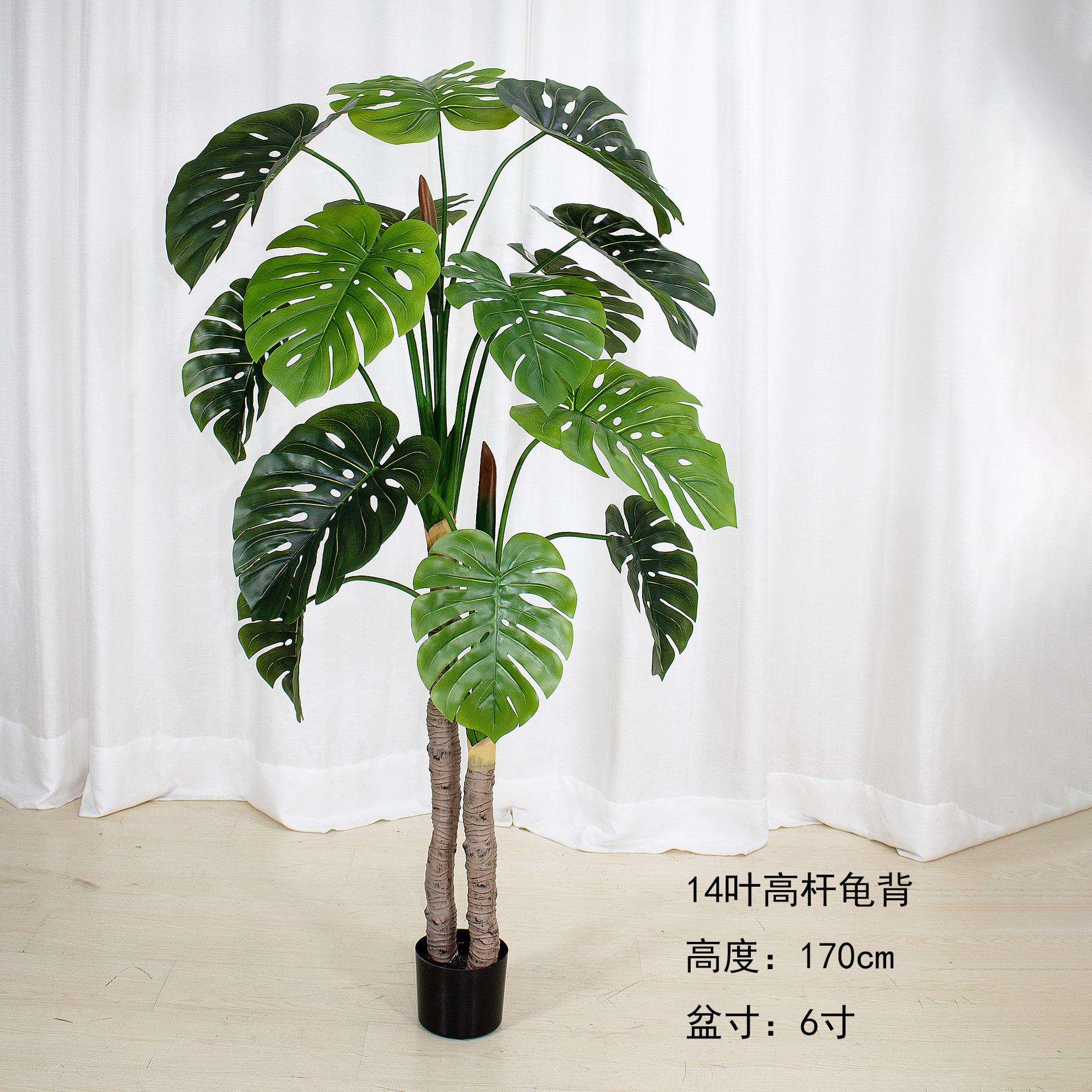 170cm double pole