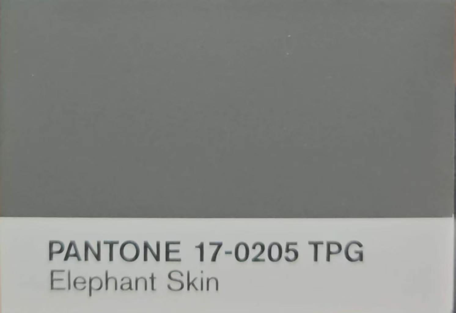ElephantSkin