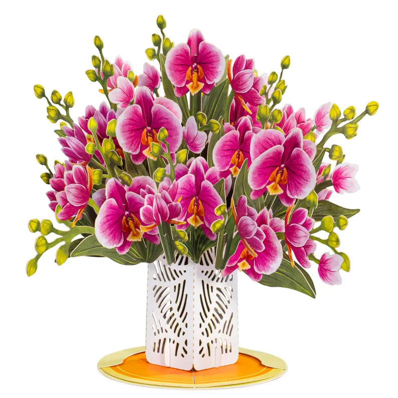 Orchids