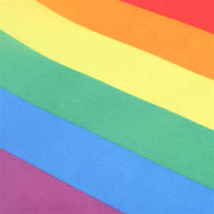 14*21cm personalizado cualquier color banderas mano pared colgante cadena pequeña mini-banderas mano Arco Iris orgullo LGBT insignias banderas - Product Image 4