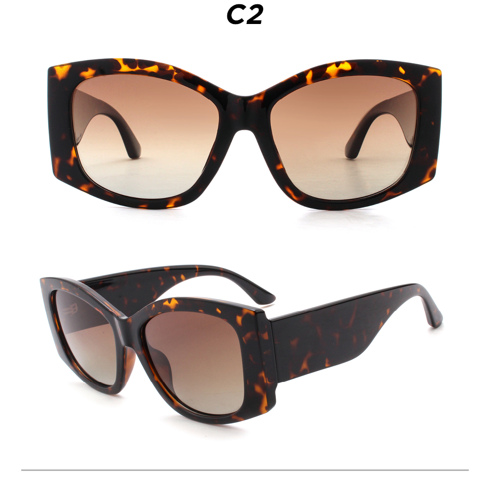 C2-Multi