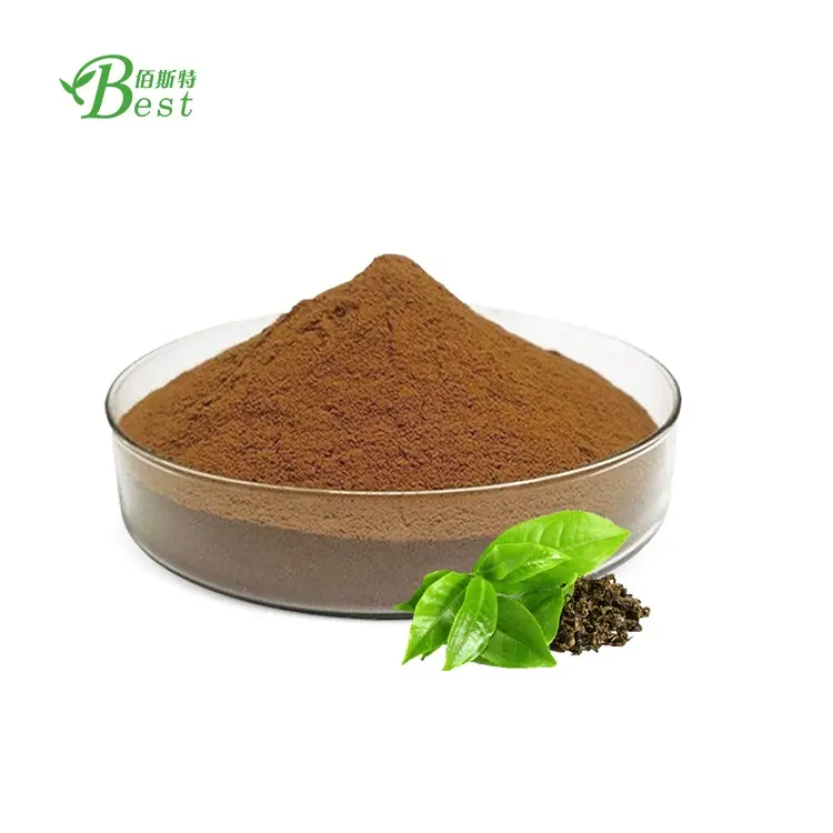 Estratto di tè epicatechina in polvere di foglie di Moringa in polvere HPLC tamburo selvatico alla rinfusa fornitura di 98% verde puro Egcg tè polifenolo verde