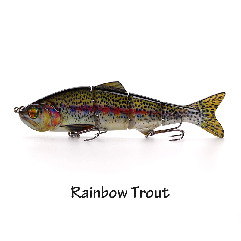 Rainbow Trout