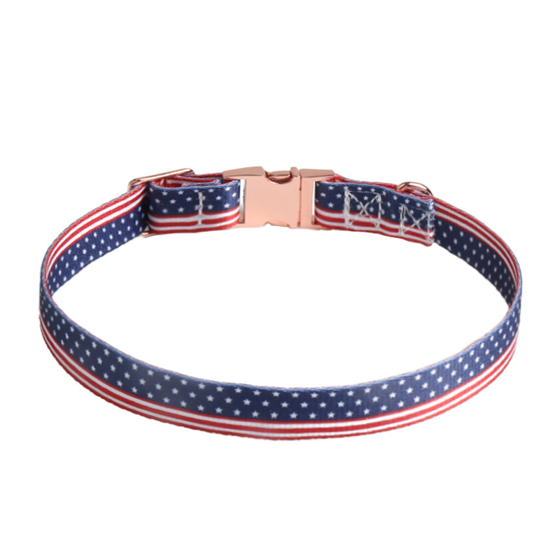 Drapeau américain b