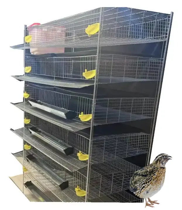 Cheap Price Quail Cage For Sale Special Cage For Quail Breeding Quail Cage Design