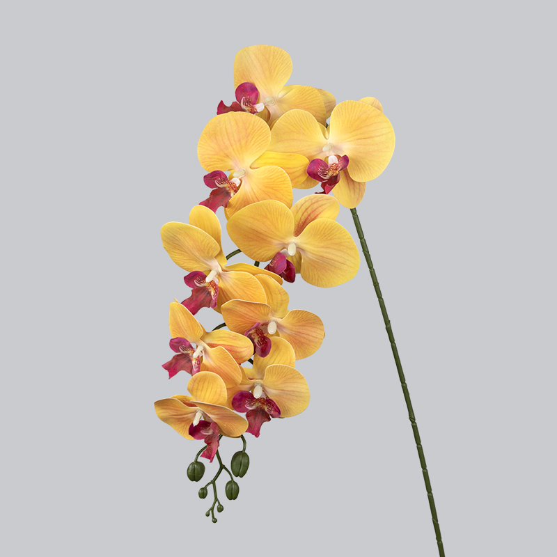 PU 9 Jaune orchidée