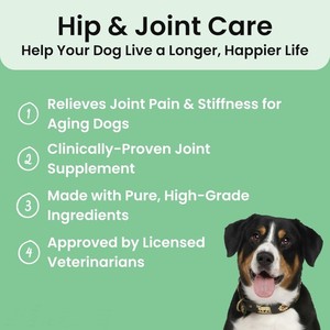 Compléments alimentaires pour la santé des animaux de compagnie, ingrédients naturels, enregistrés par la FDA, avec glucosamine, compléments à mâcher pour les articulations des chiens - Product Image 2