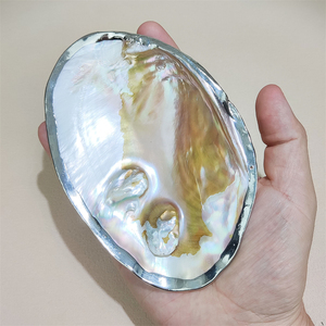2024 Hot Selling MOP Jewelry Polished Gold and Silver Edge Mother of Pearl <strong>Shell</strong> Pieces Natural Oyster <strong>Shell</strong> for Decorations - Product Image 3