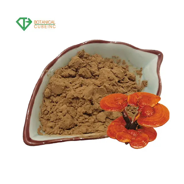 Pó de extrato de cogumelo orgânico b.c i, coberto de leões em pó mane/chaga/reishi/maitake/turkey tail cogumelo em pó