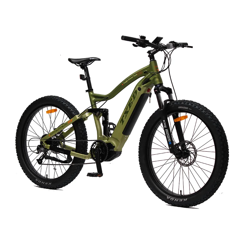 According to EN standard Professional OEM ODM 48V/500W High end fat bike ebike suspension mountain bike
