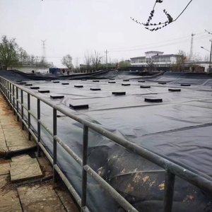 แผ่นซับบ่อโพลีคาร์บอเนต HDPE geomembrane PVC กันน้ำดีไซน์อุตสาหกรรมขนาด1.0มม. สีดำสีขาวสีฟ้าสีเขียวการเพาะเลี้ยงสัตว์น้ำ - Product Image 5