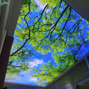 广东建材3d天空树鸟聚氯乙烯拉伸天花板薄膜电梯天花板 - Product Image 6