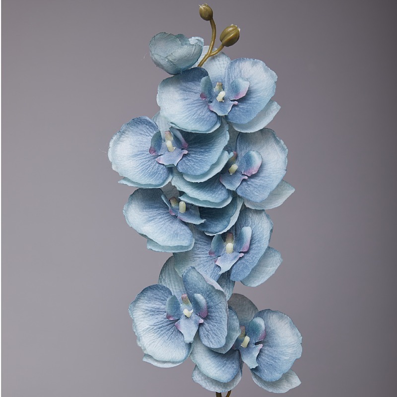 Bleu d'automne