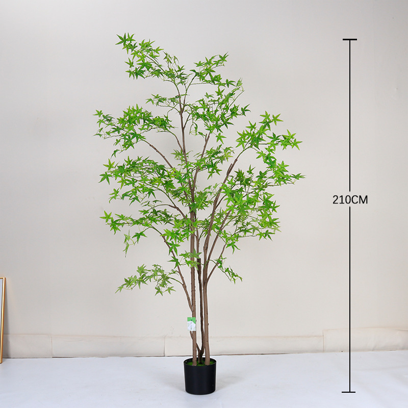 210cm
