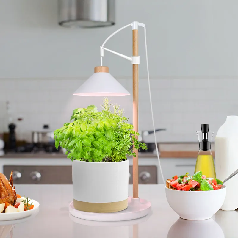 J & C Minigarden Provoo-led Bếp Trong Nhà Hệ Thống Thủy Canh Trong Nhà Nhà Phát Triển Vườn Thông Minh Trẻ Em