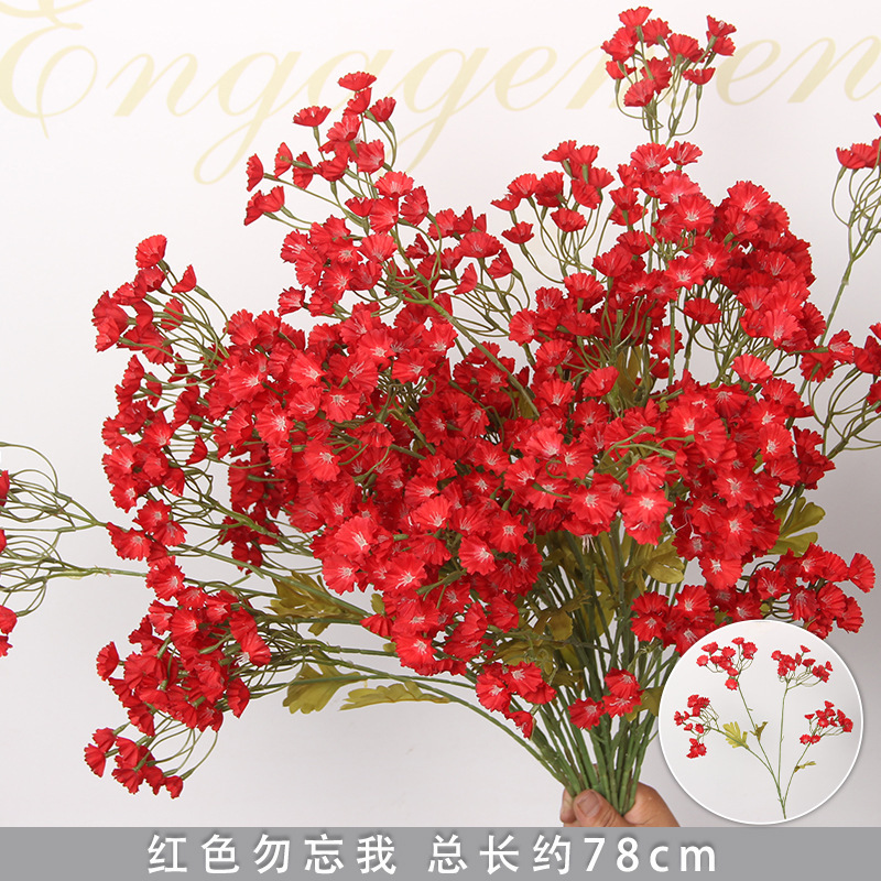 กิ่งดอกฟอร์เก็ตมีน็อตสีแดง