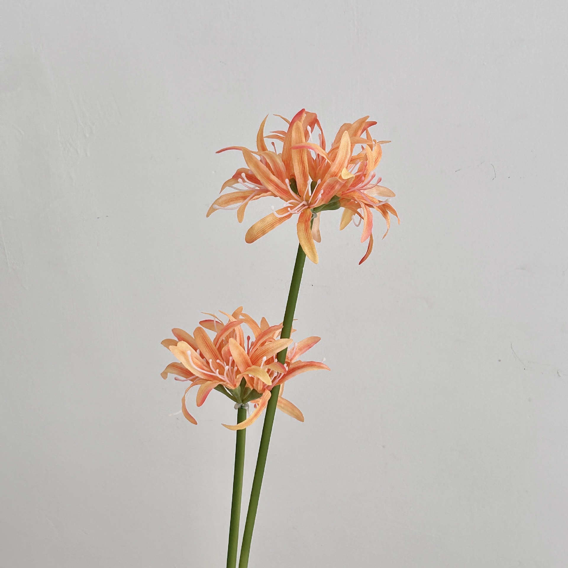 SKU04