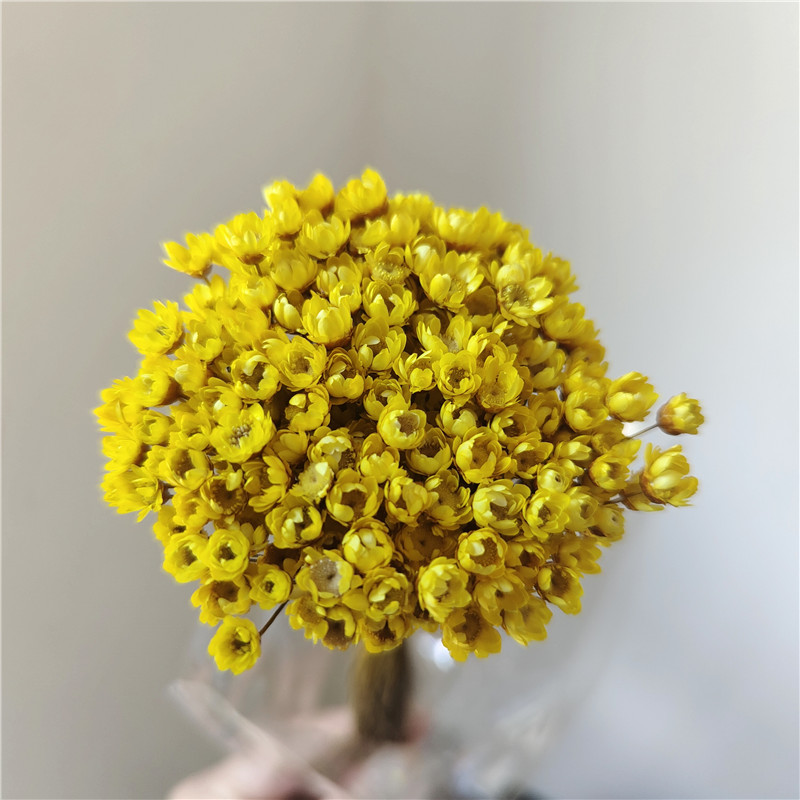 50 stems - Yellow