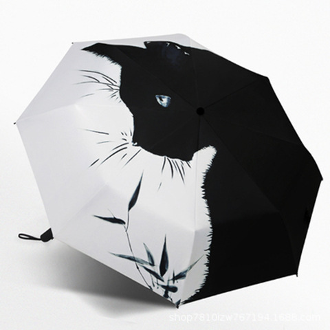 Manuel de fleur extérieure de chat noir