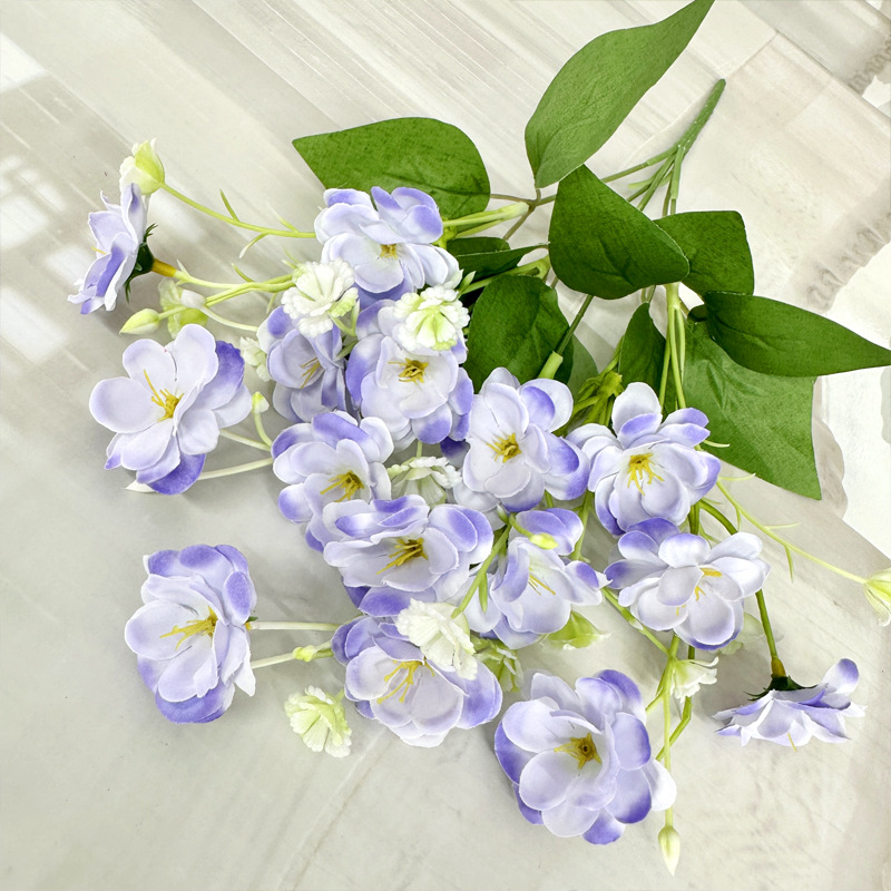 Blue Purple