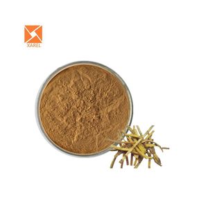 Estratto di corteccia phellodendron amurense estratto di corteccia Phellodendri chinensis estratto di corteccia Phellodendri - Product Image 4