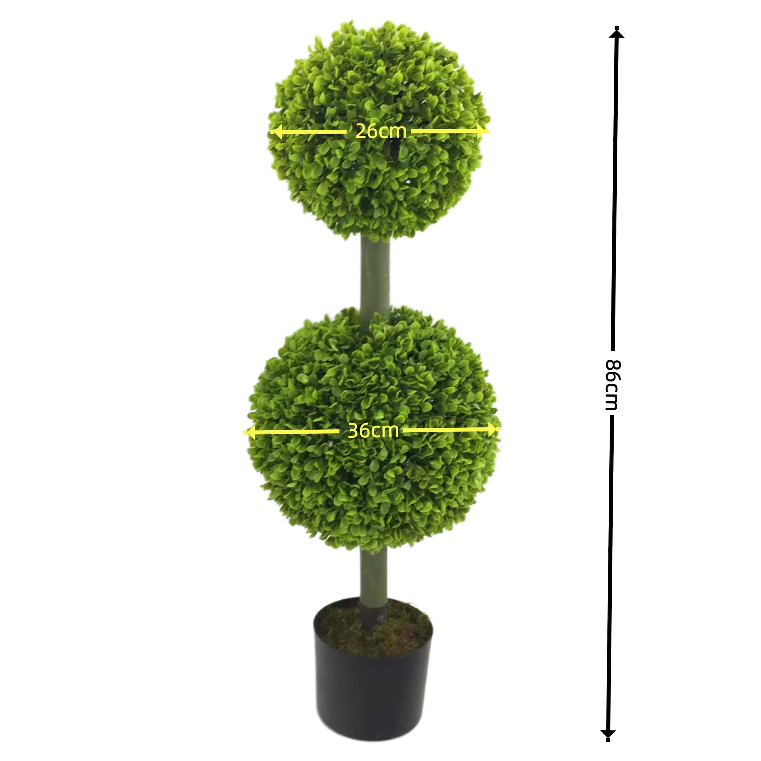 Plante en pot à 4 fourchettes, feuille de Milan